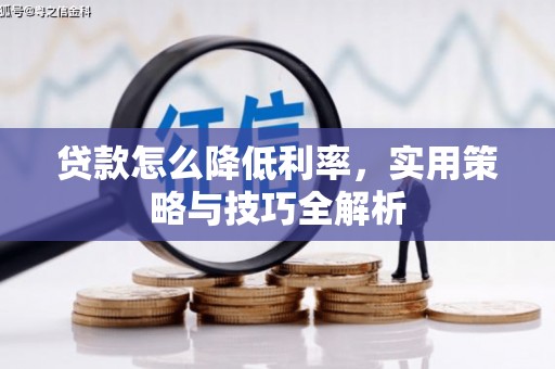 罗定贷款怎么降低利率，实用策略与技巧全解析