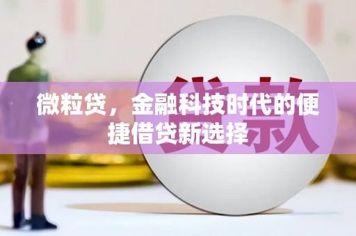 罗定微粒贷，金融科技时代的便捷借贷新选择