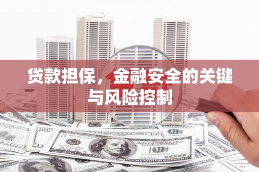 罗定贷款担保，金融安全的关键与风险控制