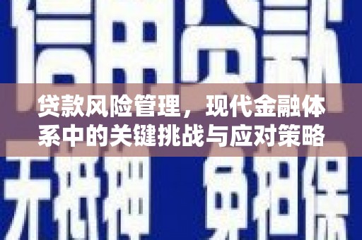 罗定贷款风险管理，现代金融体系中的关键挑战与应对策略
