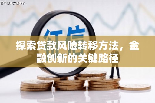 罗定探索贷款风险转移方法，金融创新的关键路径