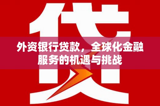罗定外资银行贷款，全球化金融服务的机遇与挑战