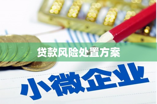 罗定贷款风险处置方案