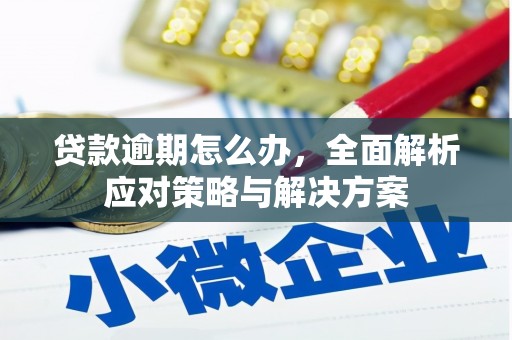 罗定贷款逾期怎么办，全面解析应对策略与解决方案