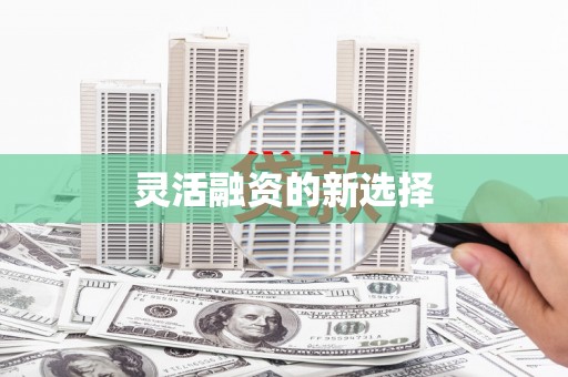 罗定灵活融资的新选择