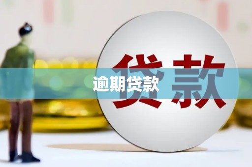 罗定逾期贷款