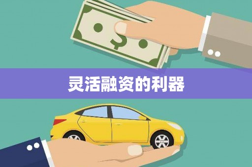 罗定灵活融资的利器