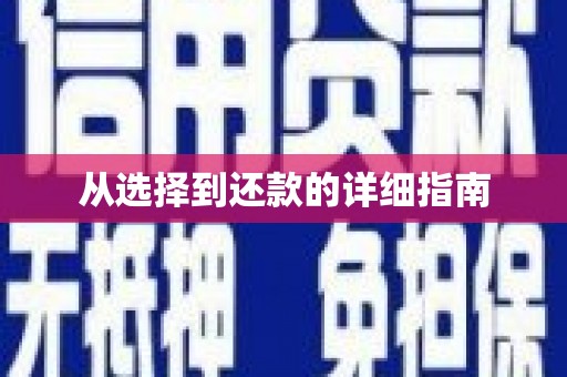罗定从选择到还款的详细指南