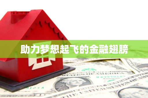罗定助力梦想起飞的金融翅膀