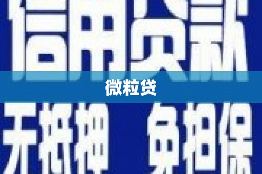 罗定微粒贷