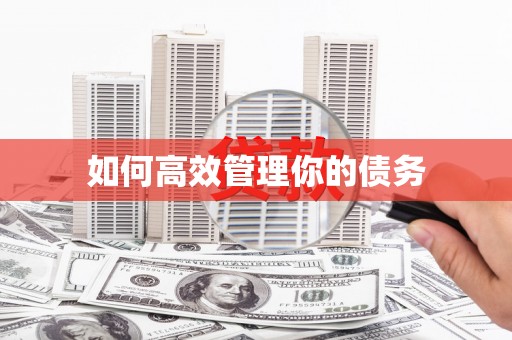 罗定如何高效管理你的债务