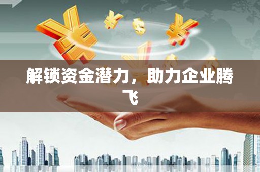 罗定解锁资金潜力，助力企业腾飞