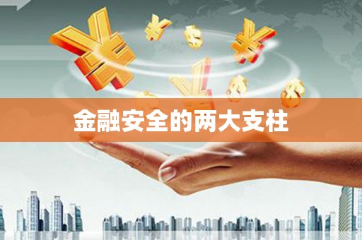 罗定金融安全的两大支柱