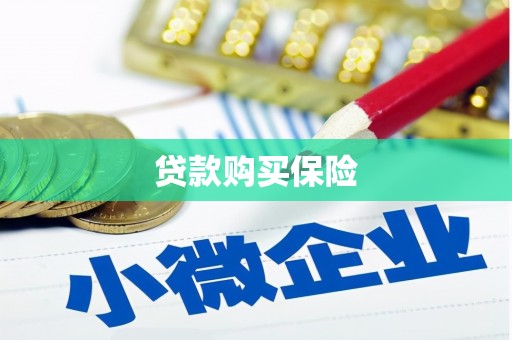 罗定贷款购买保险