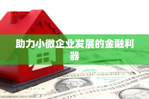 罗定助力小微企业发展的金融利器