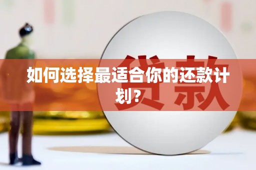 罗定如何选择最适合你的还款计划？