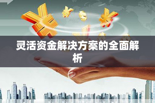 罗定灵活资金解决方案的全面解析